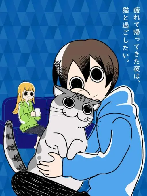 《关于养猫我一直是新手》：铲屎官必看！新手养猫血泪史与爆笑瞬间