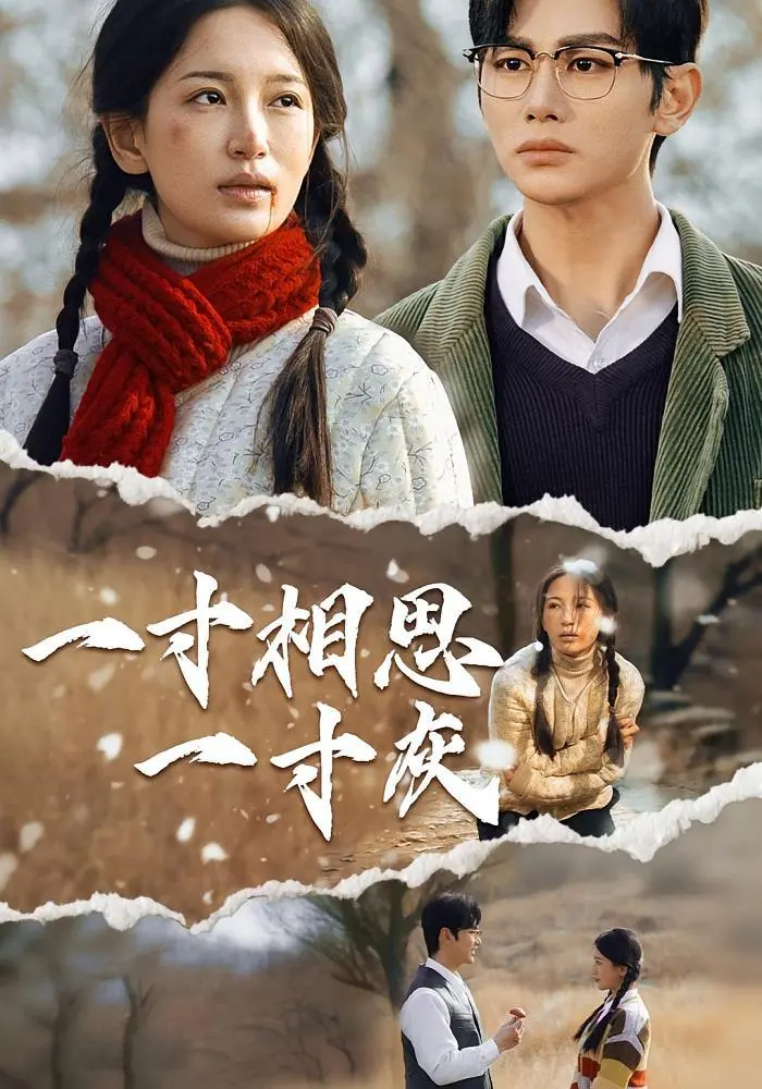 《一寸相思一寸灰》：虐恋情深，执念成殇，谁解其中味？